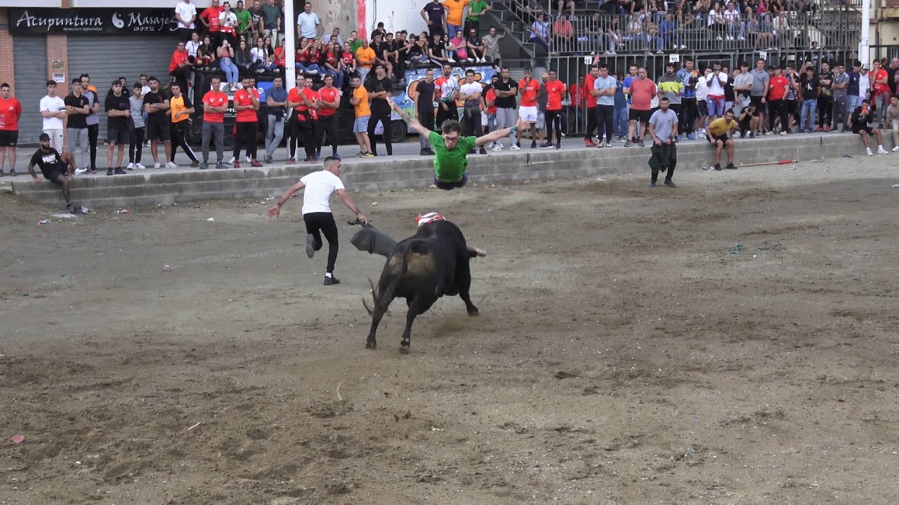El Rincon Taurino del Galo - Peña el cerril - Lliria - 12 de octubre de 2024 parte 1