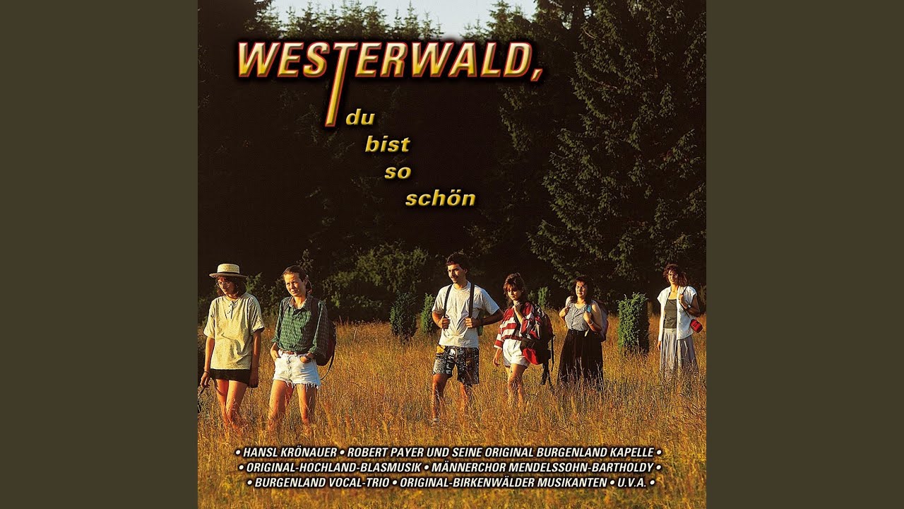 Ich bin der Bub vom Westerwald (Radio Version)