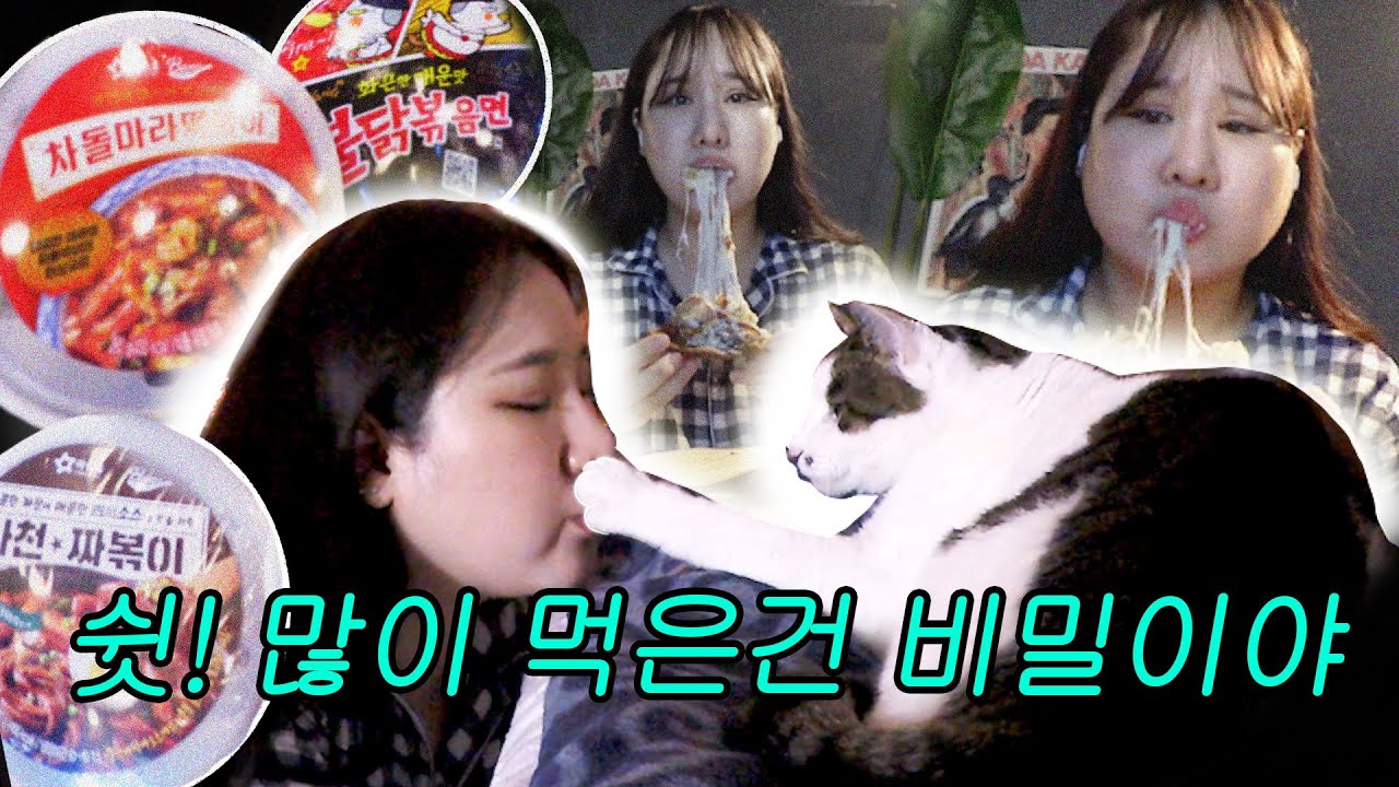 쉿! 많이 먹은건 비밀^^* 먹방 브이로그 🤫ㅣ 뉴욕치즈 피자, 편의점 조합 , 아보카도 샌드위치, 돈까스 , 몬테크리스토 토스트 요리