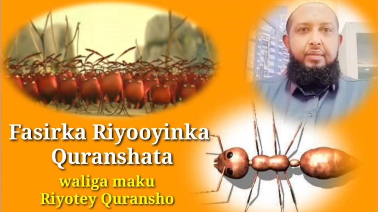 Fasirka Riyooyinka Quranshata |✓Waligaa Maku Riyotey Quransho Kala Soco Halkan,