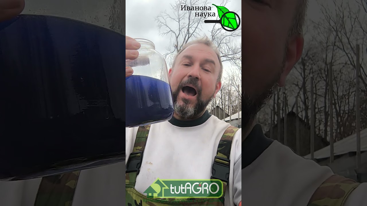 В 3 РАЗА меньше КУПОРОСА, в 10 РАЗ больше ПОЛЬЗЫ! Супер рецепт для обработки клубники и сада весной