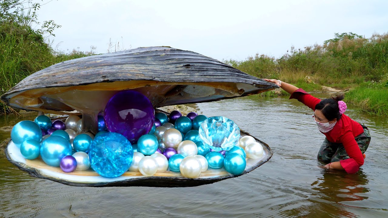 🎁🎁The giant clams I found in the wilderness river area have dazzling pearls inside, so beautiful