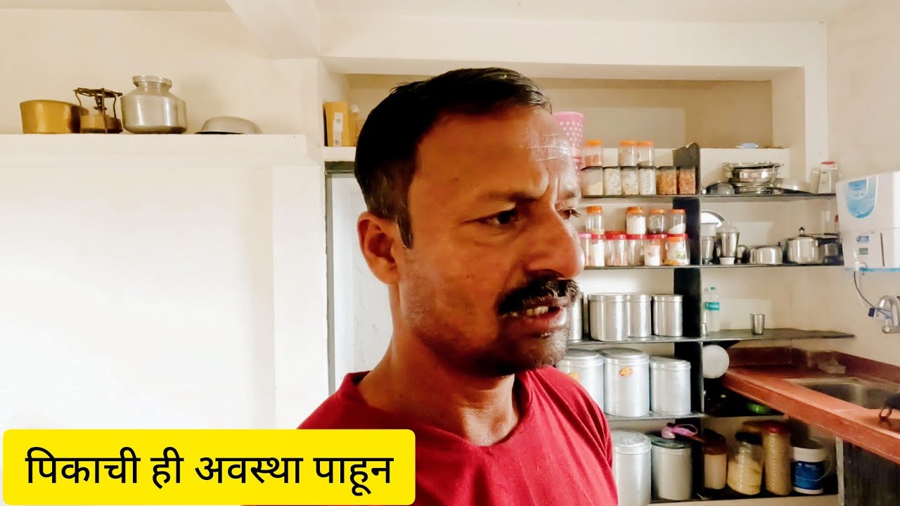 आपल्या ज्वारीची काय हालत झाली,@गावाकडचीवाट 