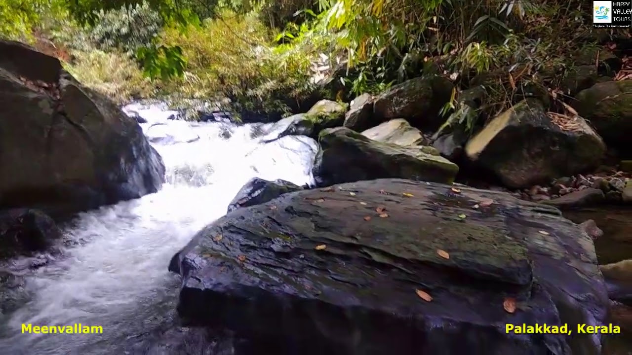 Western Ghats in Kerala (Part 01)