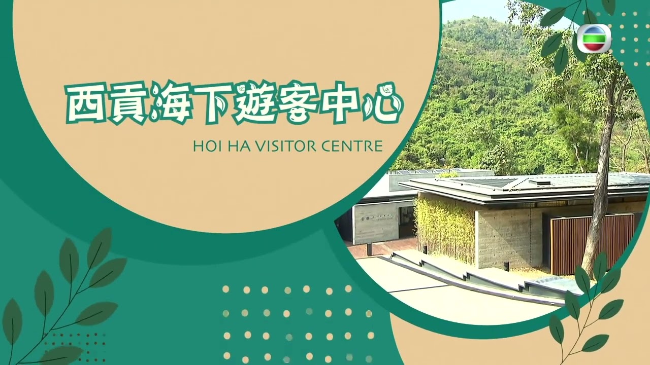 TVB 家居築則｜2022年05月17日｜間隔｜飯廳｜室內設計｜採光｜西貢海下遊客中心
