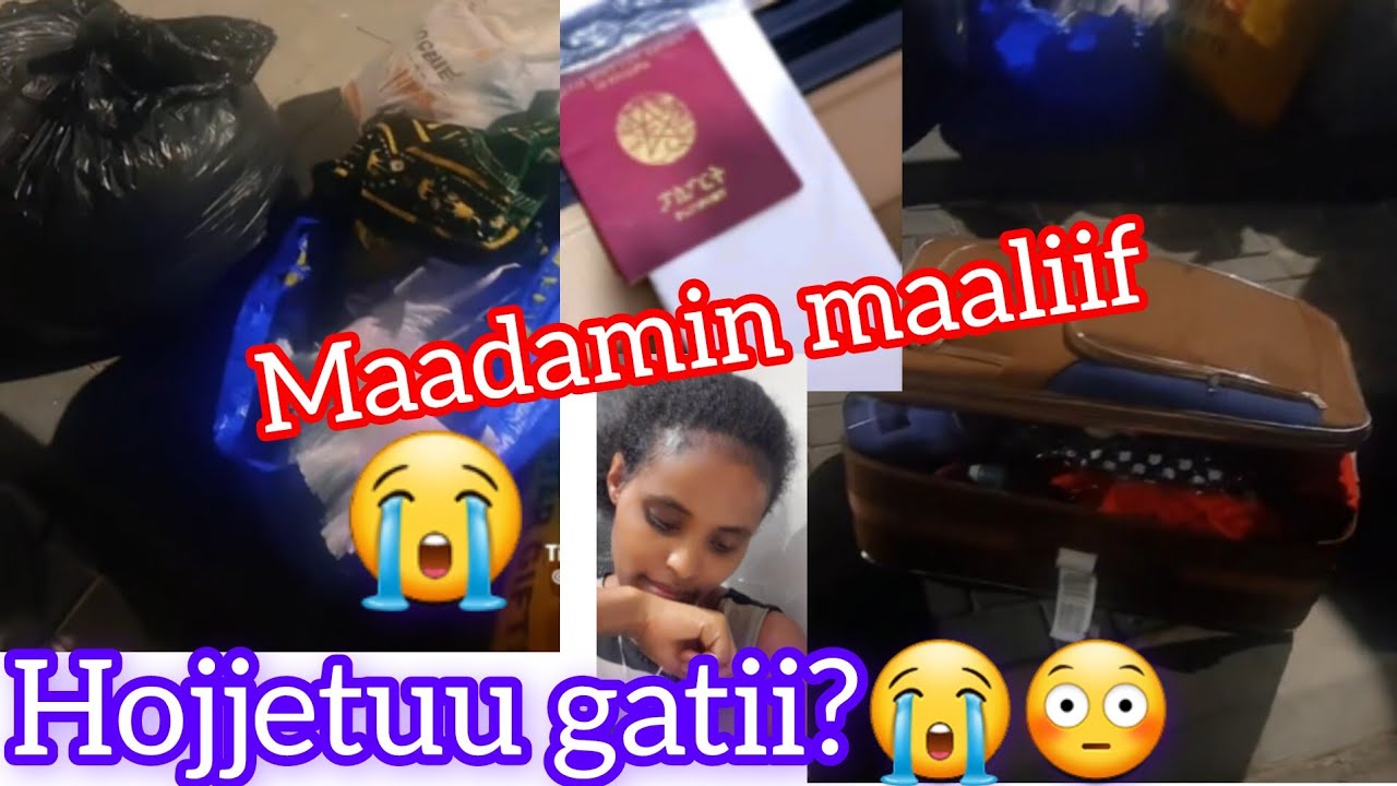 Shanxaa wajjiin baaste ispeeliitti galtee hojjettuu wayyoo😭😭😭