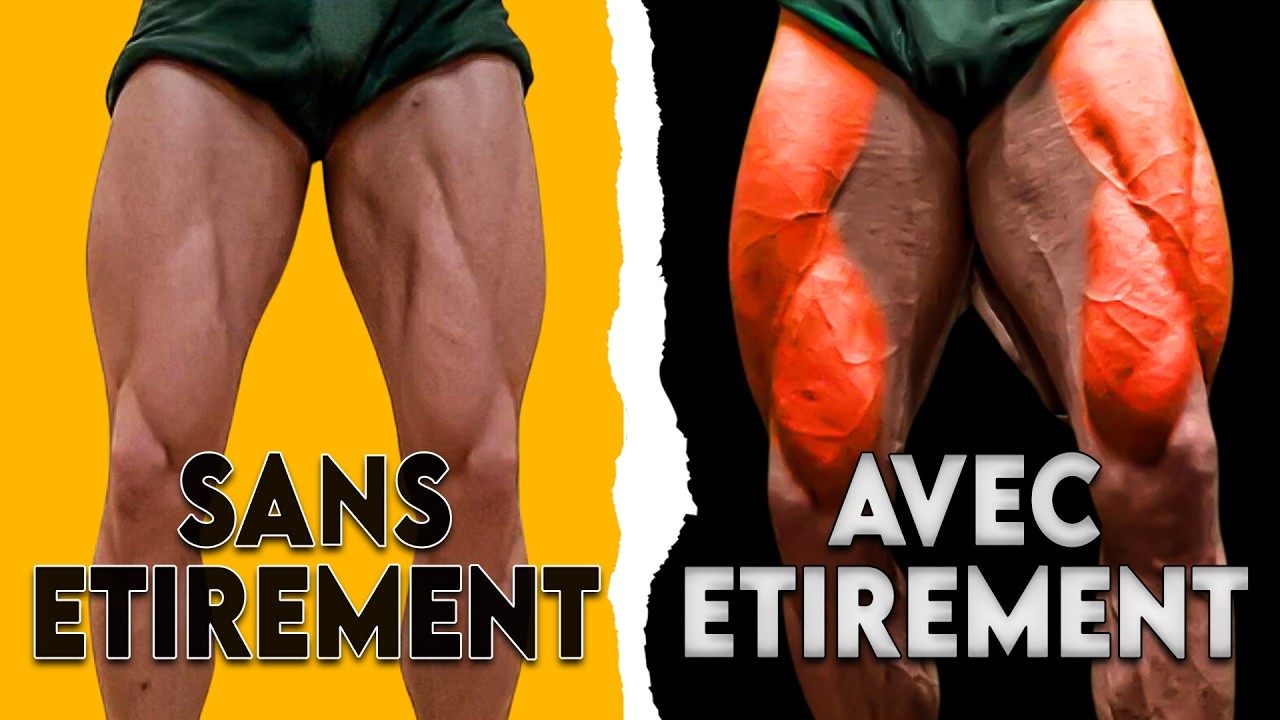 L'étirement est la chose la plus importante en musculation ? 2 nouvelles études