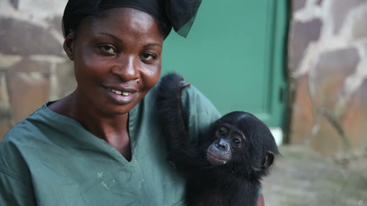 TPWF: Friends of Bonobos
