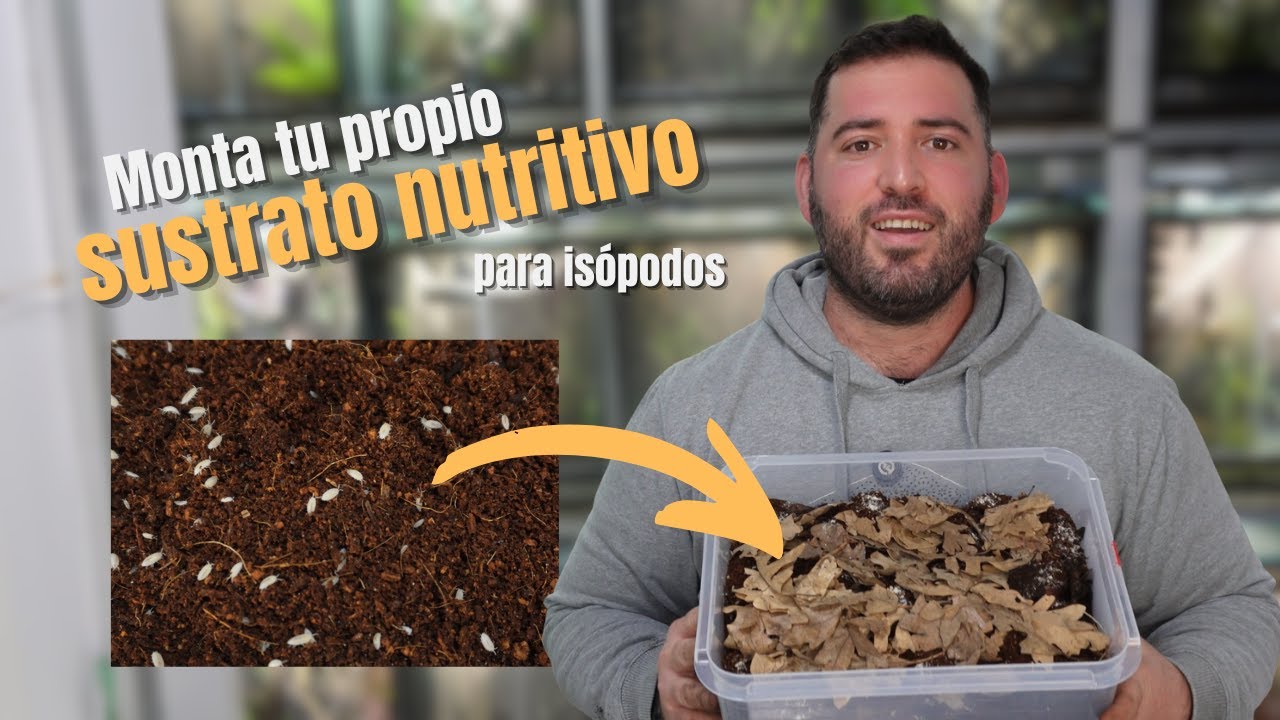 Diseño el SUSTRATO IDEAL para nuestros Isópodos 🪲🌱 | KANAKY VLOG #192