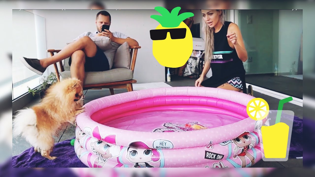 Купили БАССЕЙН для СОБАК| Веселье |😆