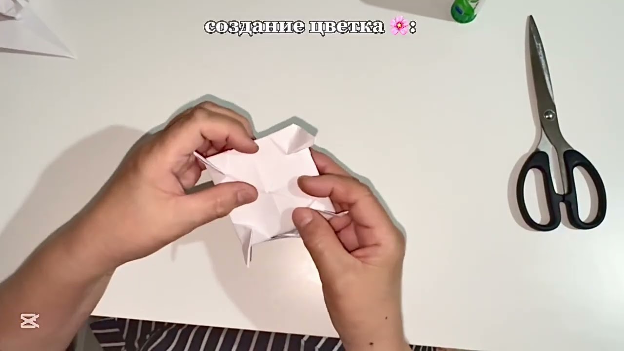 9/10 лет. Цветок в технике бумагопластика