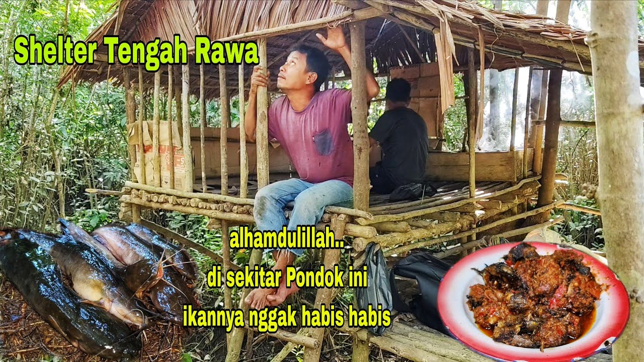 SHELTER TENGAH RAWA || TEMPAT ISTIRAHAT BURU IKAN