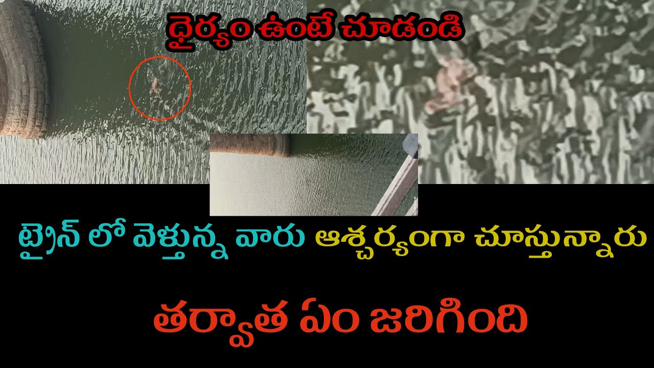 what happend next#interestingfacts #viralvideo #interestingfacts #whathappend #next #knvideos