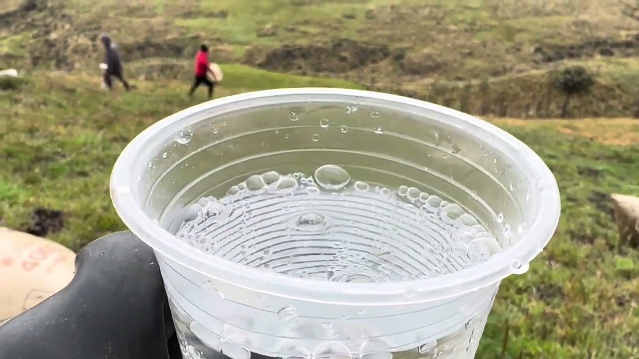 Abonando los terrenitos 
