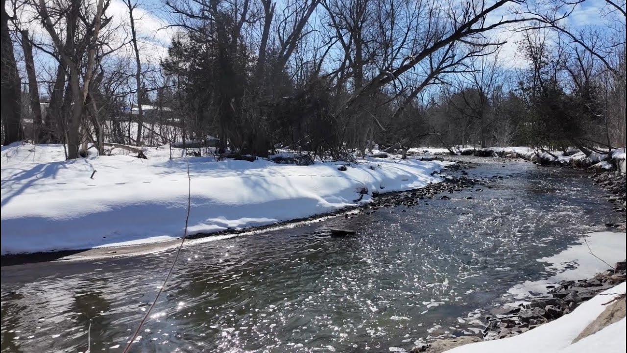 Frozen Forest Creek – 1 Hour of Beautiful Winter Nature
