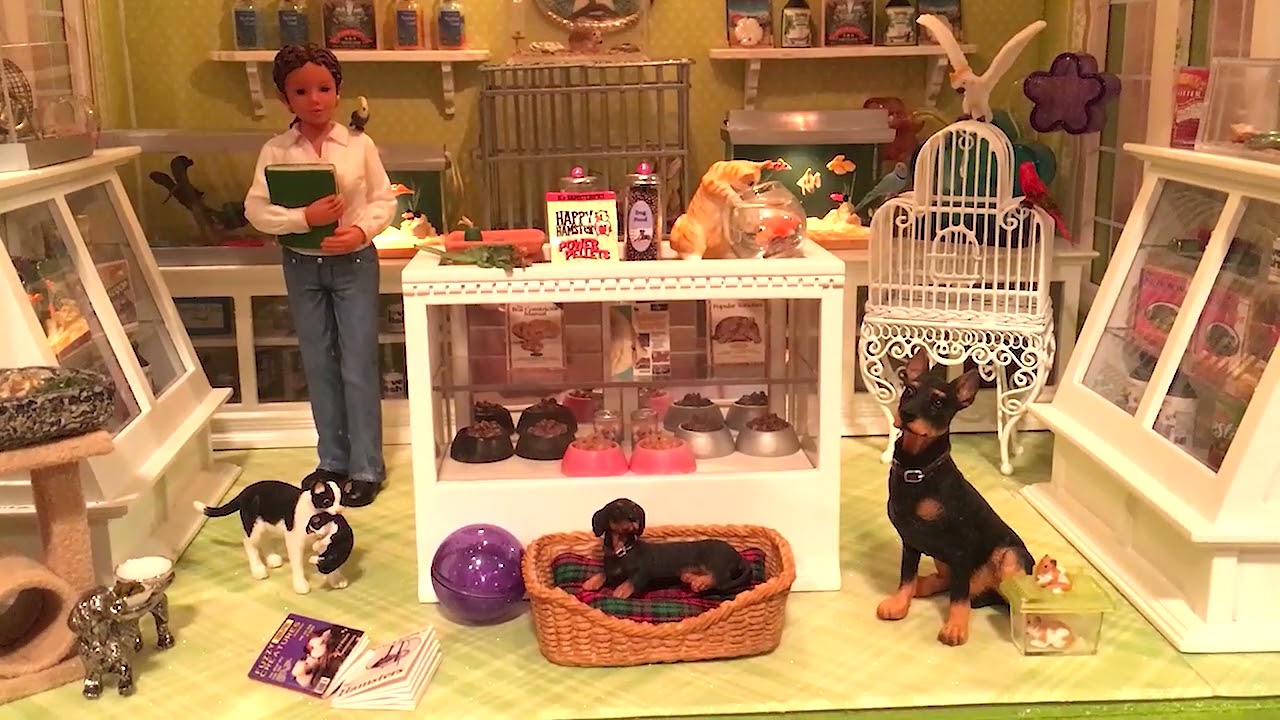 Adorable 1:12 Scale Lighted Miniature Pet Shop Dollhouse Tour