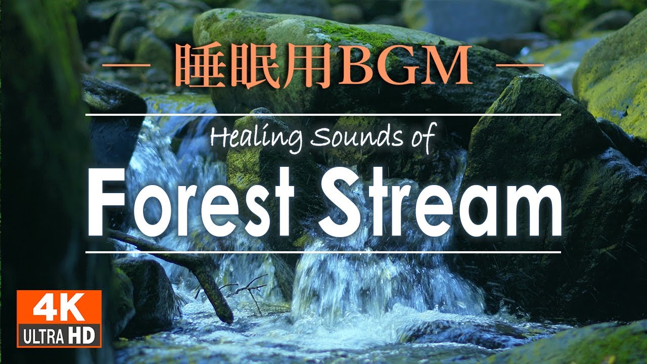 【睡眠用BGM】川のせせらぎ 癒しbgm 1時間 / 疲れた心身のリラックス - 睡眠を誘う ホワイトノイズ 4k映像