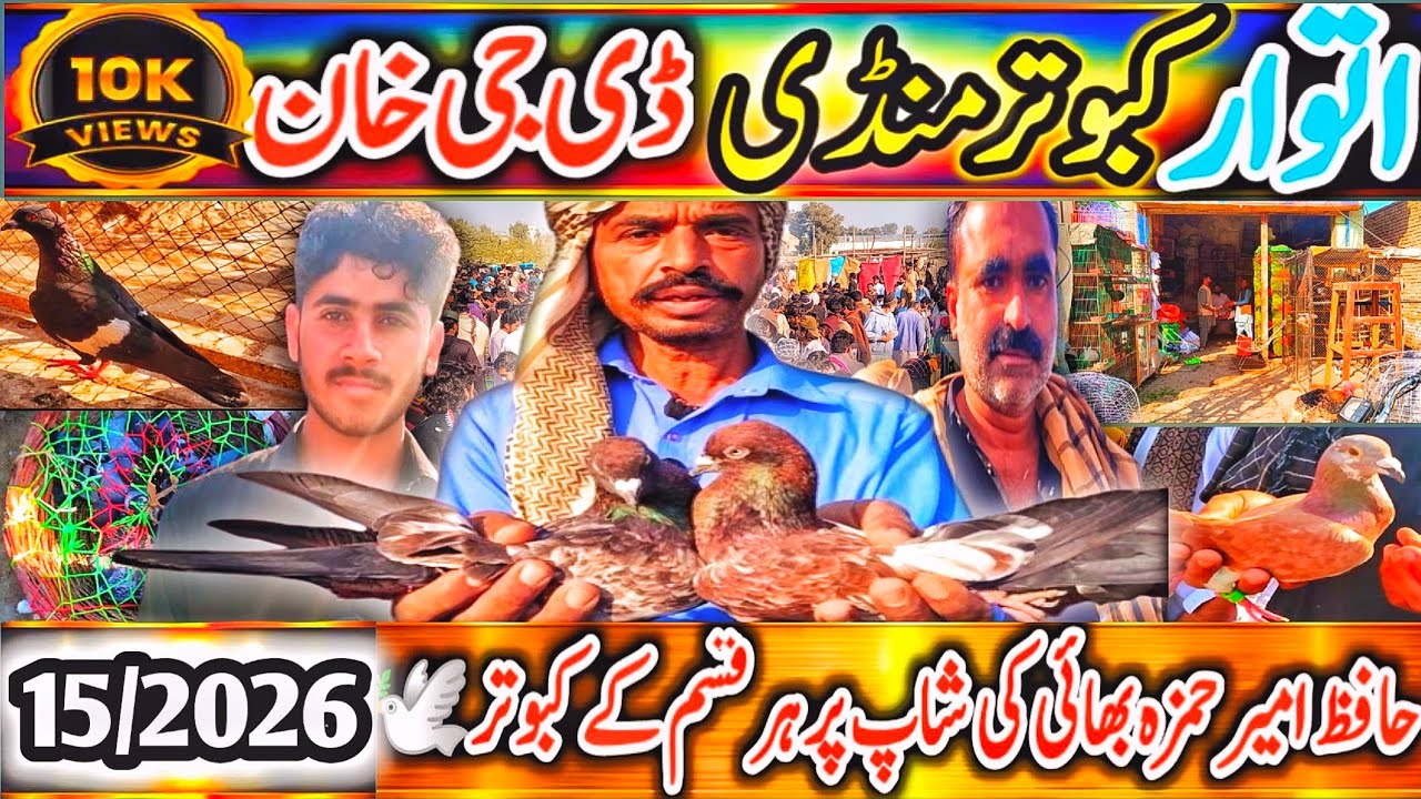 Kabootar Mandi | Dera Ghazi Khan Latest Update | DGKhan Kabutar Mandi | Pigeon Market DGKhan Special