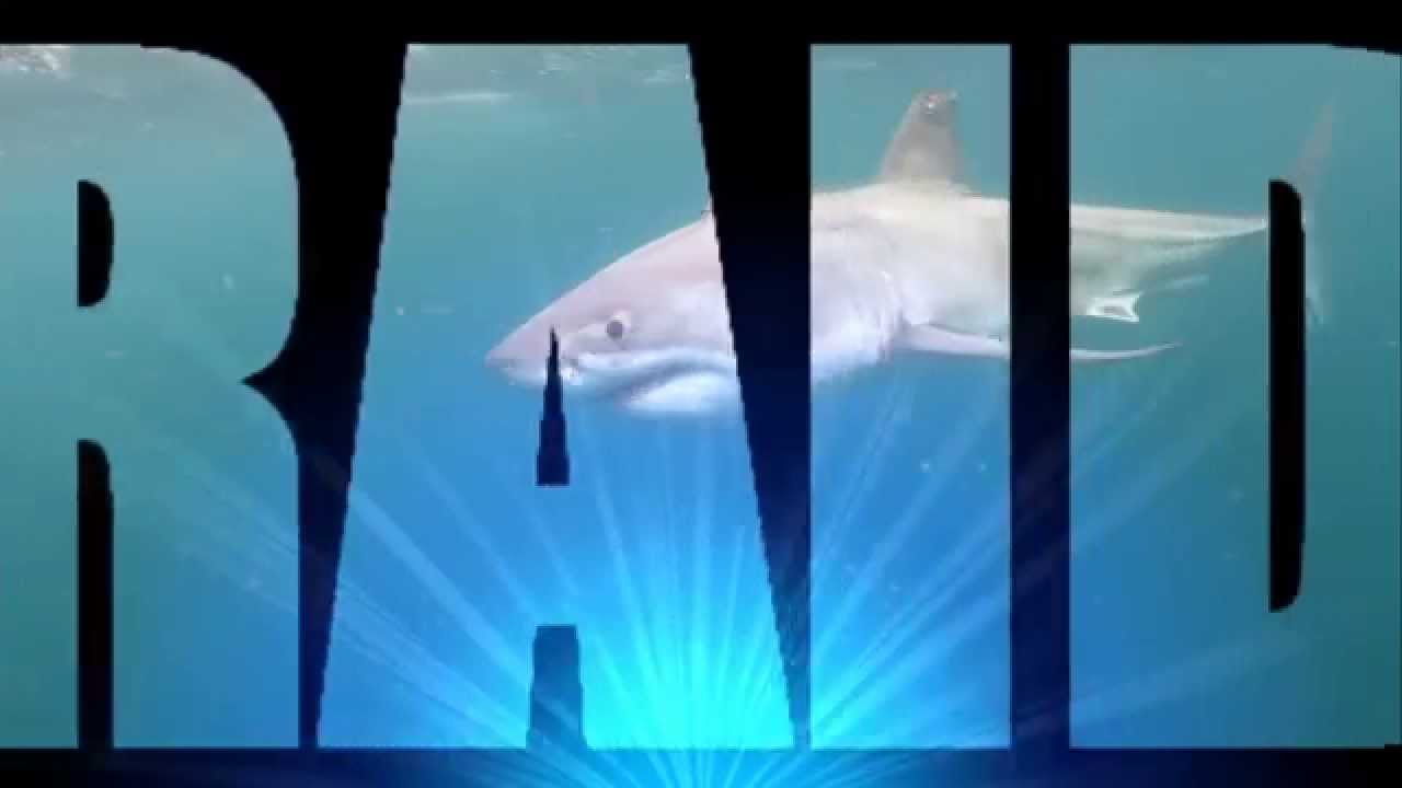 DiveRAID Great White Dive