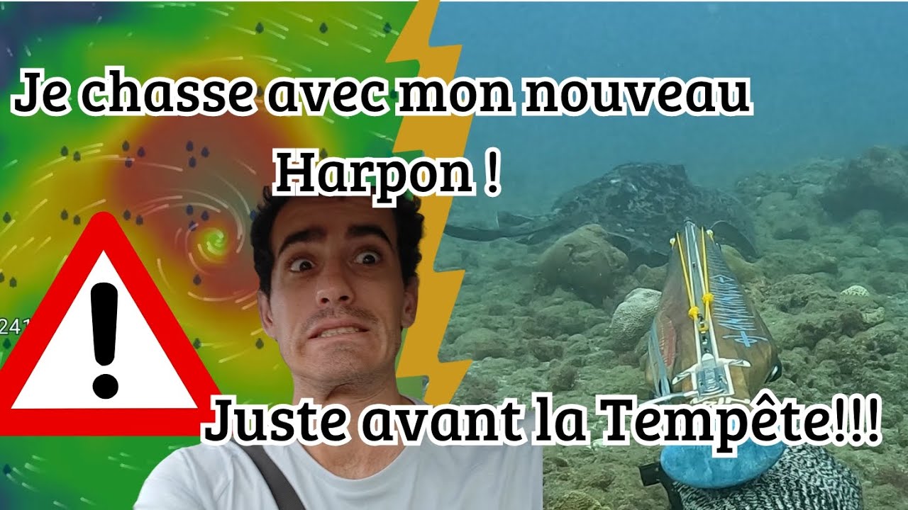 Épisode 5 🇷🇪 : Chasse sous-marine La réunion : Découverte d'un nouveau spot et nouveau harpon 🫢