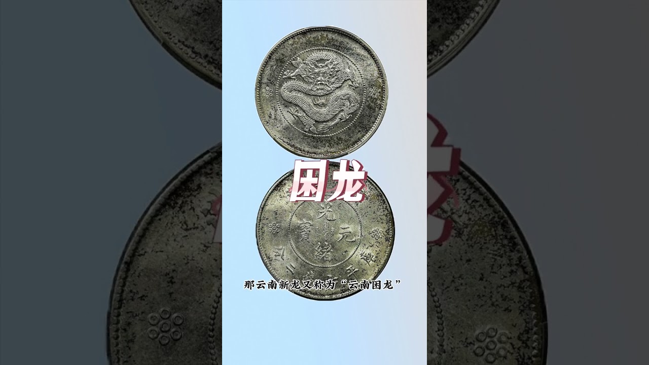 如何區分雲南龍洋及其價格