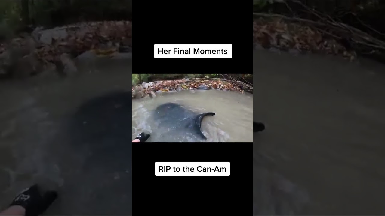 Atv mishap: sinking in a pond #rip #atv #outdoors #riding