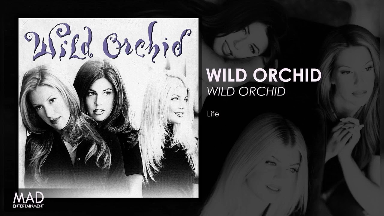 Wild Orchid - Life