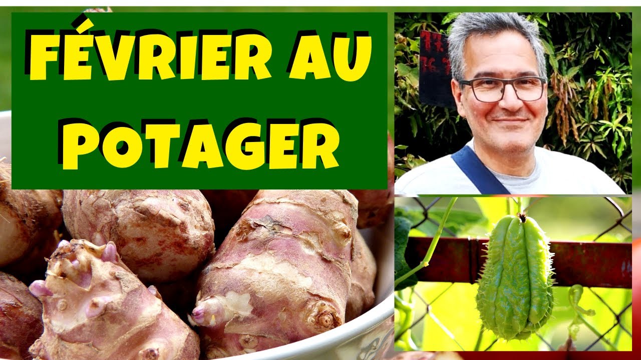Février au jardin potager - Que planter, semer et bouturer ?