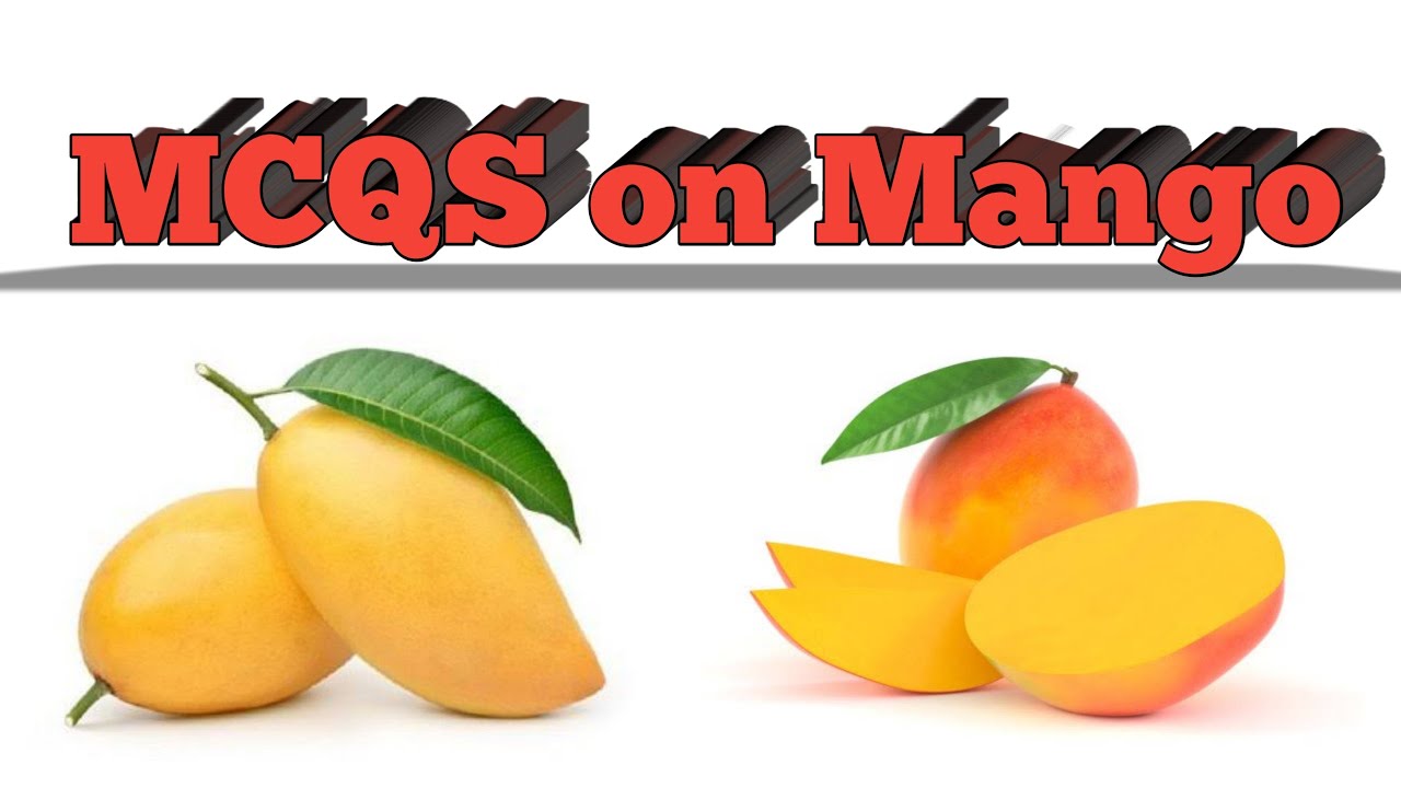 MCQS on Mango ।। Mango for JRF Horticulture ।। important questions on mango ।। mango
