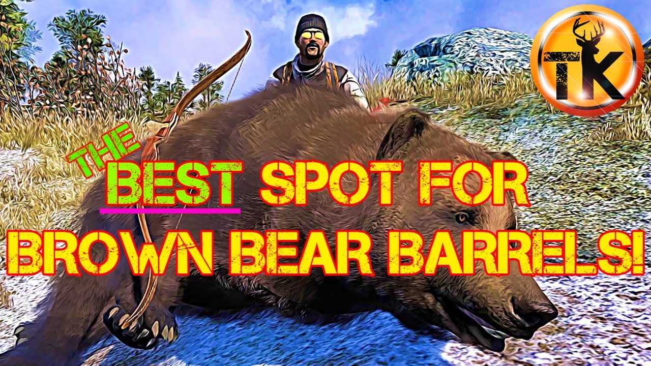 The Best Brown Bear Barrel Spot Ever! theHunter: Classic