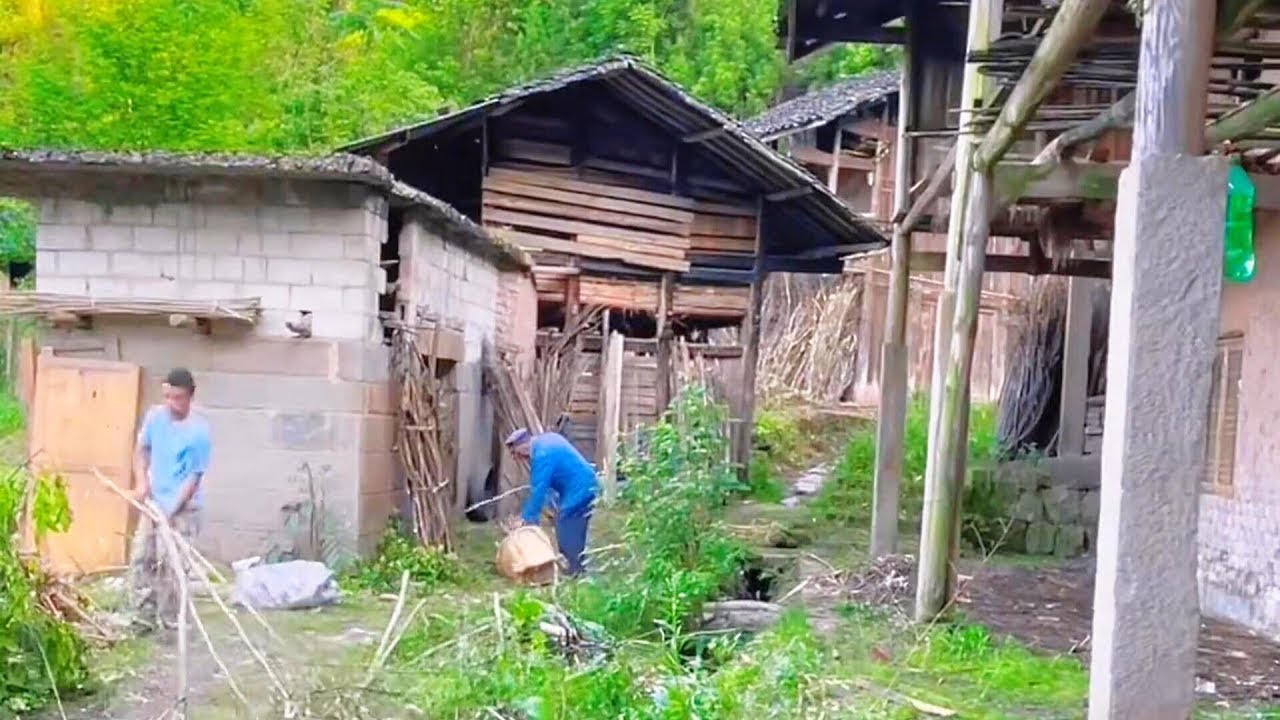 Divorced man buys abandoned house in rainforest and renovates it