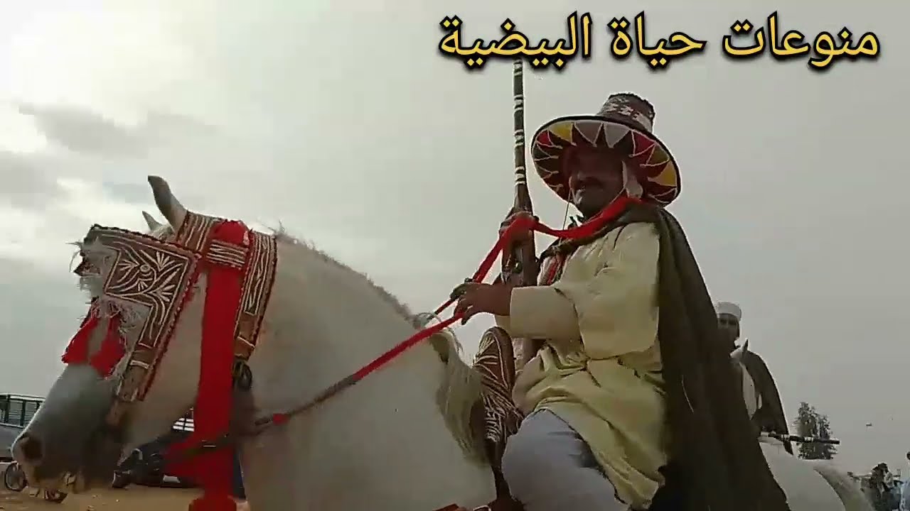وعدة جمل(بعير) النبي لأولاد مومن 🤍بقرية المنيجل لجمع الصدقات للفقراء و المحتاجين ❤😍