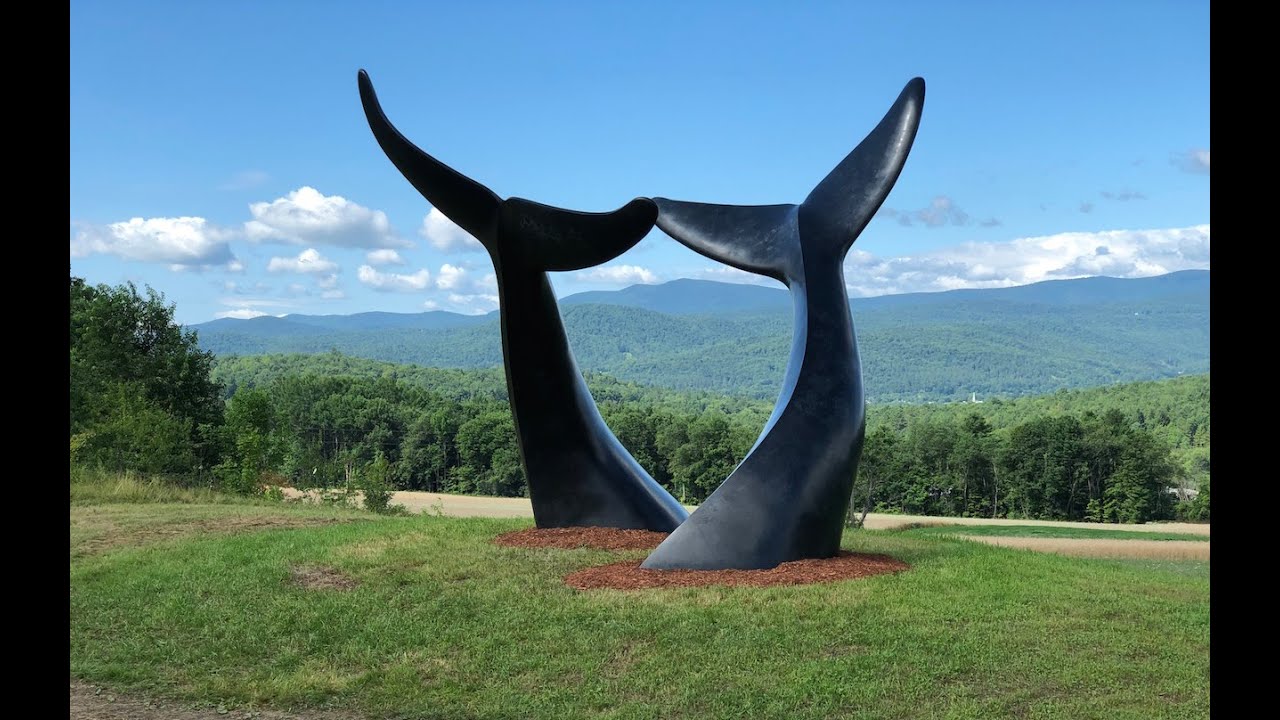 Whale Dance 2019 by Jim Sardonis