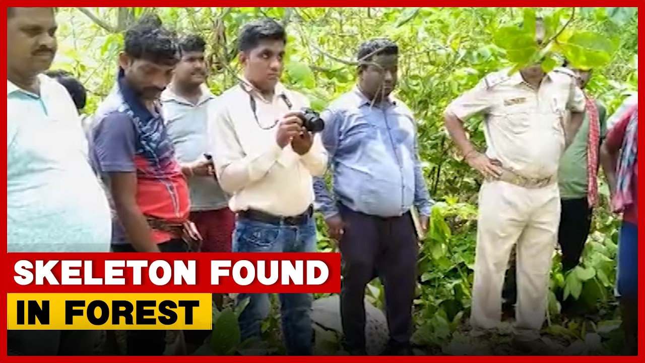 Human Skeleton Found In Cashew Forest In Odisha