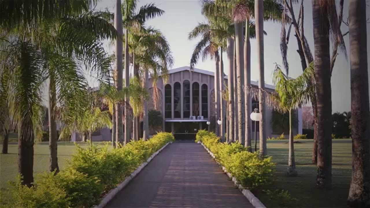 IAP 75 ANOS