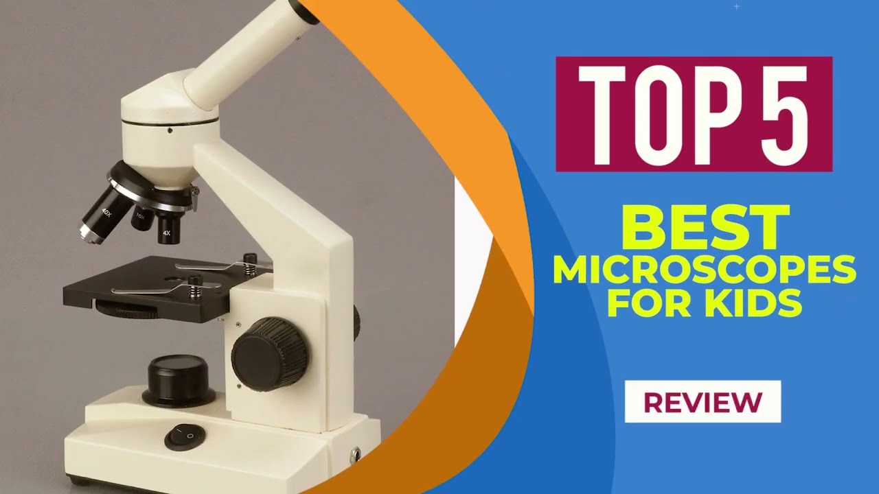 The 5 Best Microscopes for Kids in 2025 | Reviews | Best Microscope for Beginners