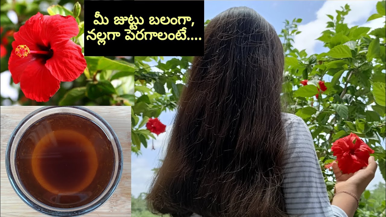 Mandara Oil for hair | Mandara thailam for fast hair growth | Hibiscus Oil | Mandara Oil in telugu