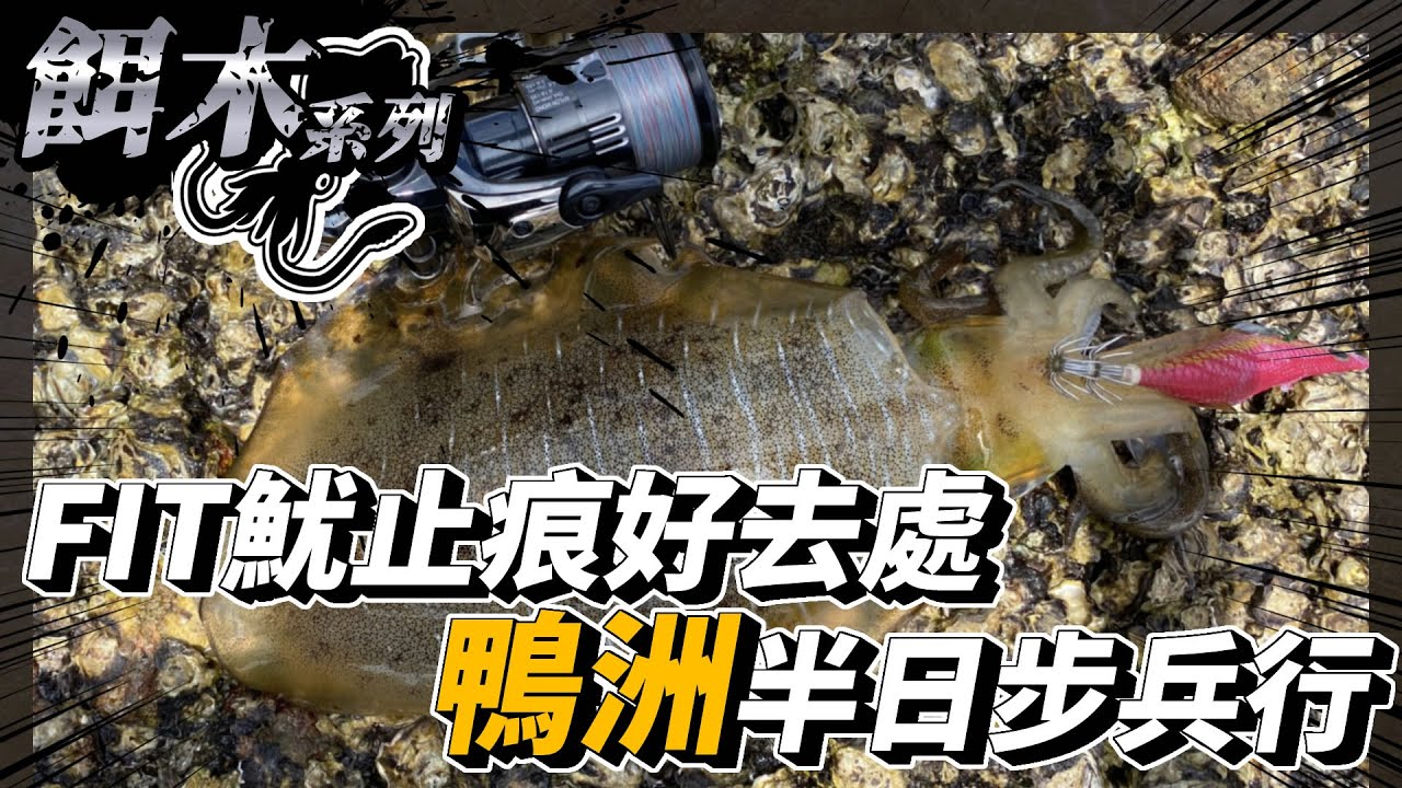 【餌木】FIT魷止痕好去處 姣蝦墓場鴨洲半日步兵 大尾魷 針墨 過足手癮 | #香港釣魚