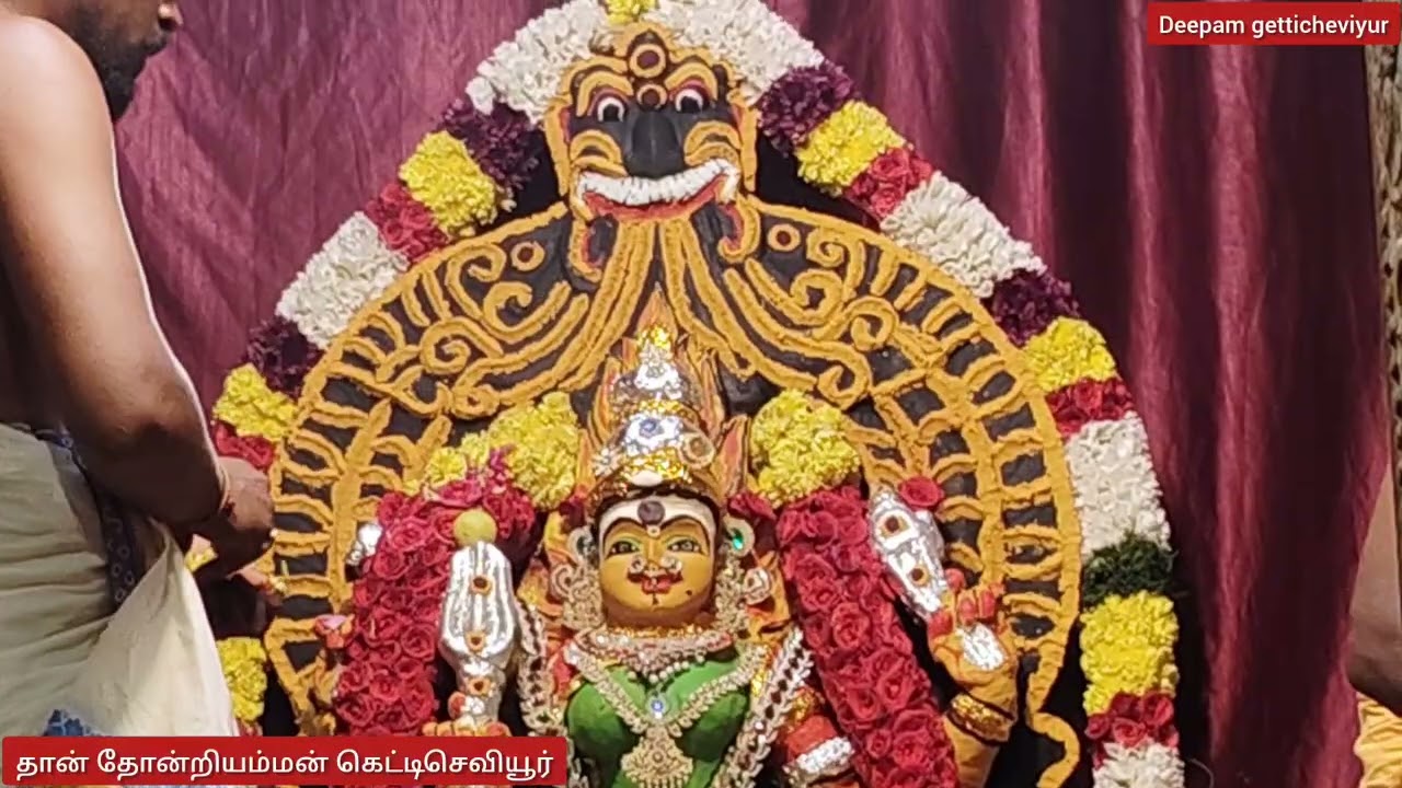 சந்தன காப்பு அலங்காரத்தில் அன்னை அருள்மிகு ஸ்ரீ  தான் தோன்றியம்மன் கெட்டிசெவியூர்#shortvideo 