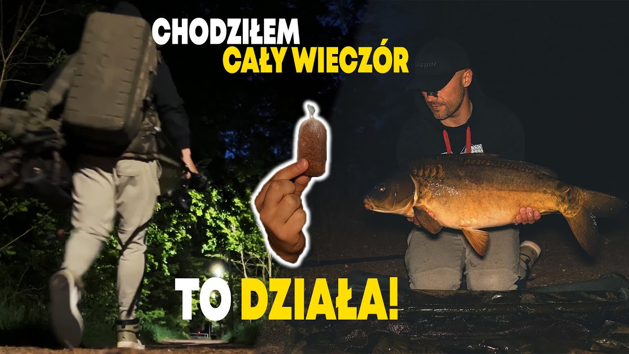 AKTYWNE ŁOWIENIE KARPI. TANIA I SKUTECZNA METODA