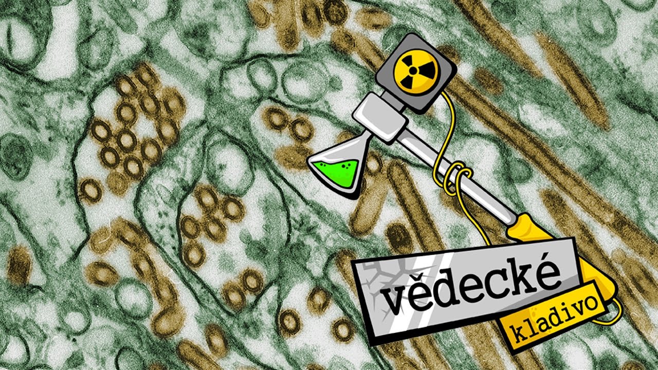 Jak moc nás ohrožuje ptačí chřipka? - Vědecké kladivo