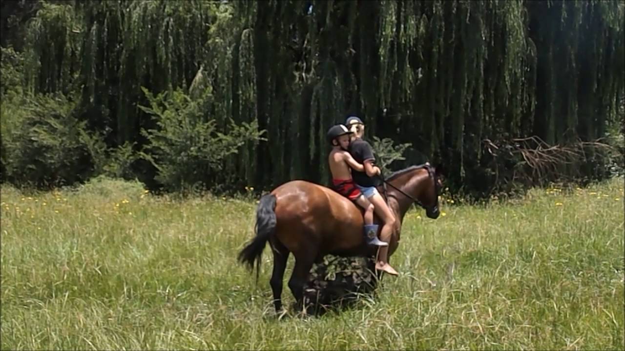 THE SA BOERPERD