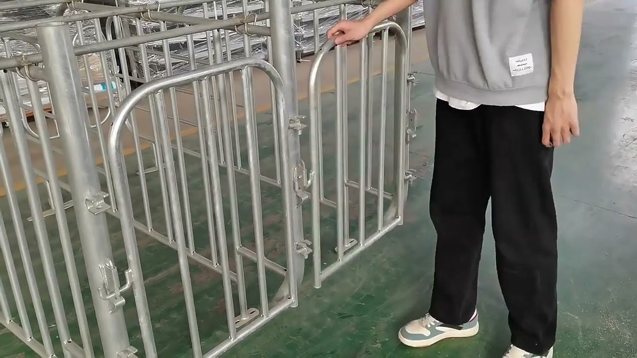 Hengyin Pig Farm Equipment pig gestation crate&mdash;&mdash;Hengyin