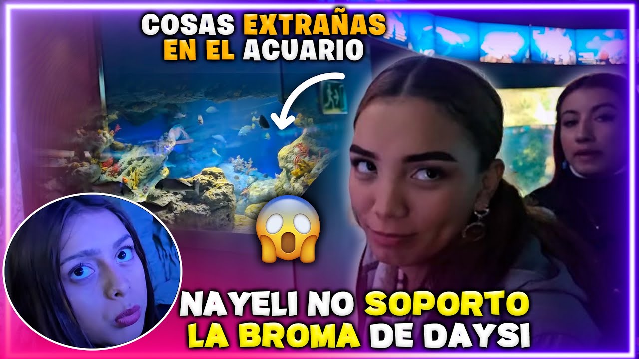 Daysi y Bessy hablan como si fueran intelectuales. Nayeli ya está igual que Zarca con nada se enojan