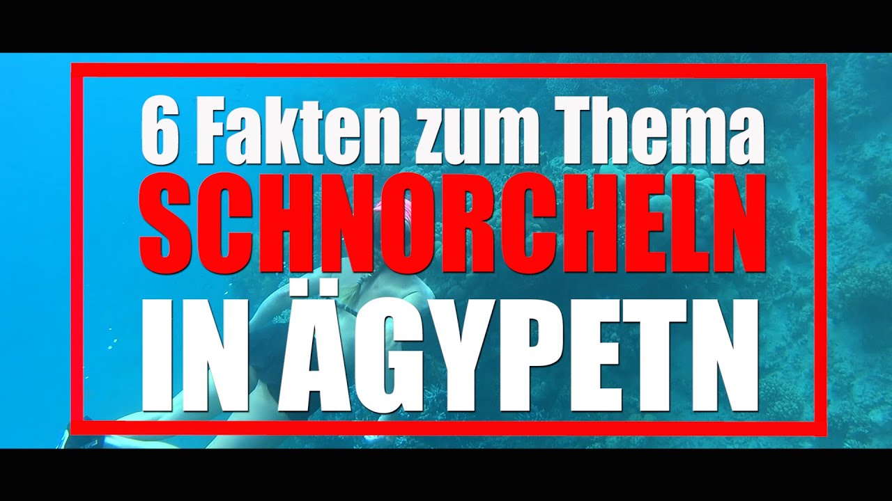 6 Fakten zum Thema Schnorcheln in &Auml;gypten
