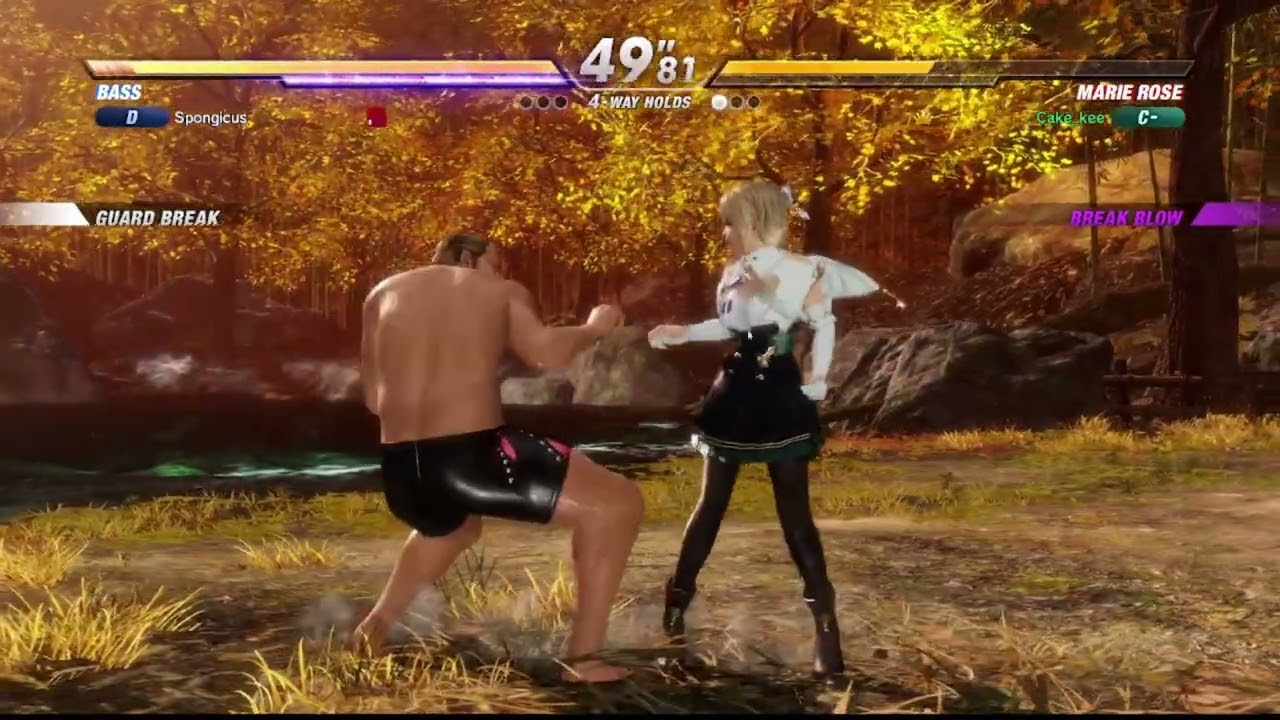 Dead or alive 6 Fat Lagg PC