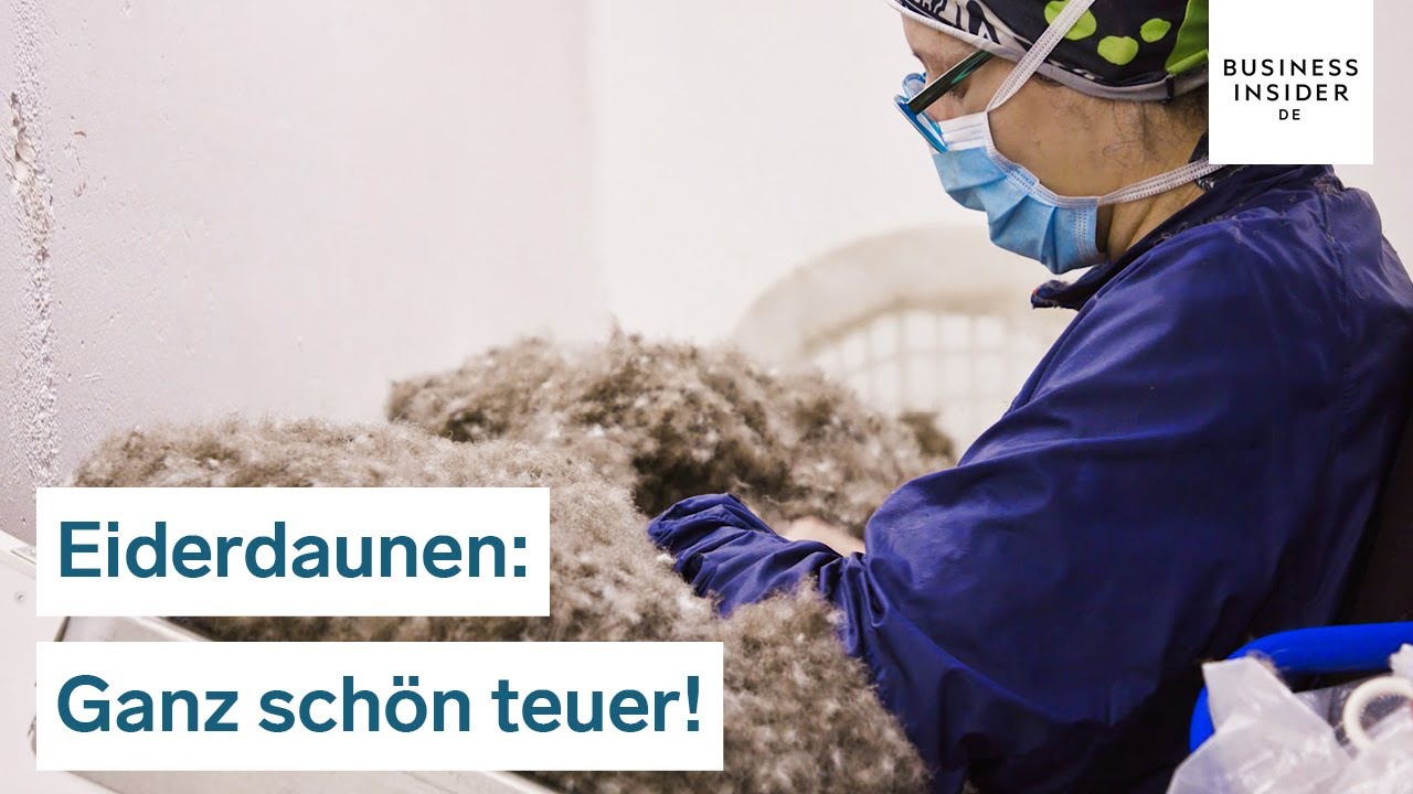 8.000 Dollar für eine Bettdecke: Darum kosten Eiderdaunen so viel | Ganz schön teuer!