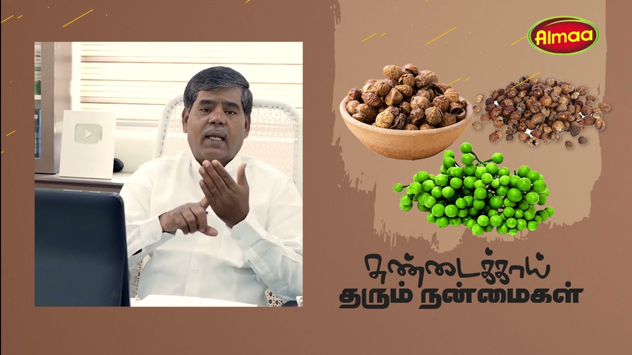 Sundakkai Health Benefits | சுண்டைக்காய் மருத்துவ பயன்கள் | திரு.அல்மா வேலாயுதம்