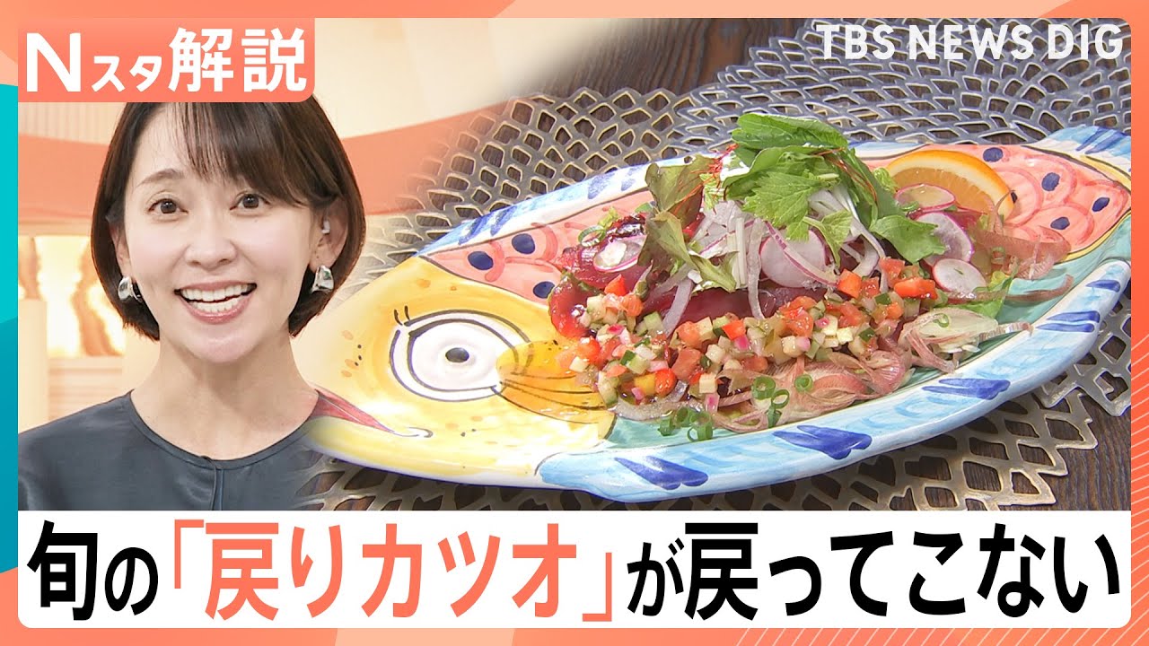 今が旬「戻りカツオ」が戻ってこない…？！一方でクロマグロやマイワシは漁獲増のワケ【Nスタ解説】｜TBS NEWS DIG