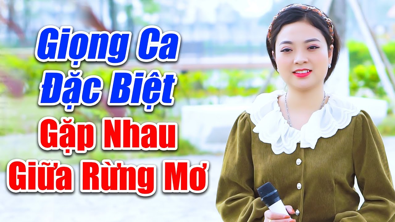 LK Gặp Nhau Giữa Rừng Mơ - Giọng Ca Đặc Biệt Đốn Tim Vạn Người Nghe Nhạc - Ngọc Khánh